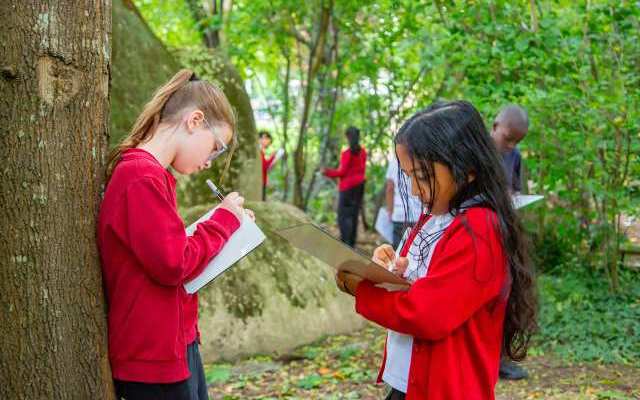 Orchard Primary School Hounslow